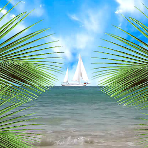 Tropical Paradise LWP logo
