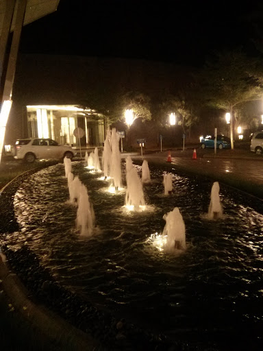 The Fountain of Novo