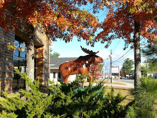 Little Moose Statue at Labonville