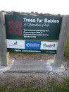 Trees for Babies, 2009