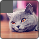 Jigsaw Puzzle: Cute Animals