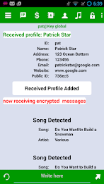 Sonic Messenger poster 2