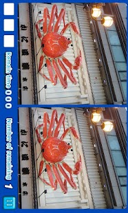 How to download Hidden Catch Osaka PLUS lastet apk for android