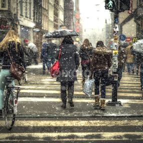 Life  by Annie Tacita - City,  Street & Park Street Scenes