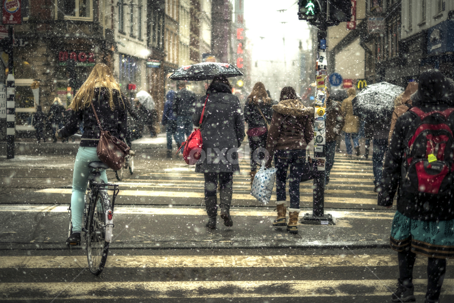 Life  by Annie Tacita - City,  Street & Park Street Scenes