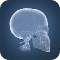 Anatomy 4D icon