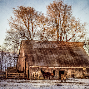 The Barn by Bets Wilson - Digital Art Places