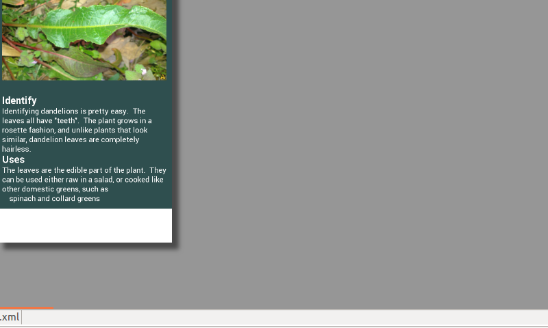 Edible Wild Plant Guide Screen 2