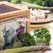 SBD Bonus Recipes