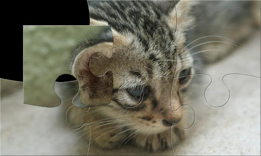 猫咪，小猫，猫拼图(圖3)-速報App