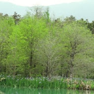 雲山水 VillaHome 民宿