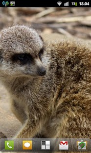 Free Download Auto Wifi Prompt APK