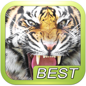 Tiger Roar Sound.apk 6.9