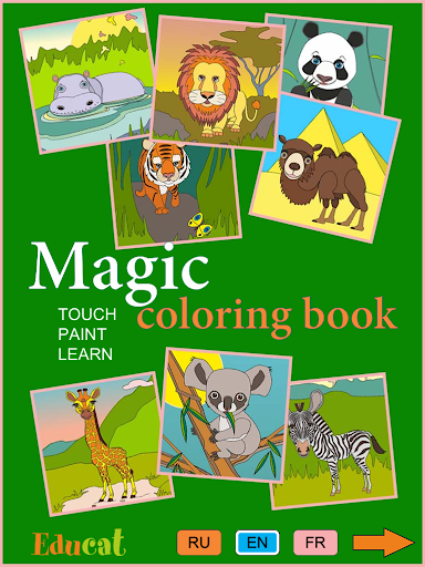 Magic Coloring Book