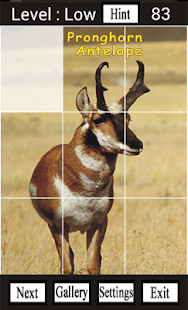 How to install Wild Animals of North America 2.0 unlimited apk for android