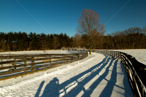 Fence Shadows by Kriss Haren - Landscapes Prairies, Meadows & Fields