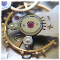 WatchCheck logo