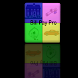 Bill Pay Pro TM  Mobile
