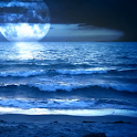 Beach Live Wallpaper logo