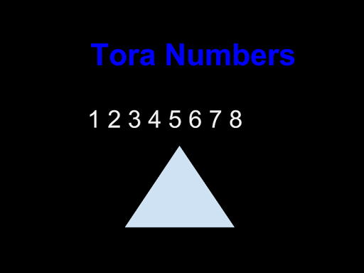 Tora Numbers