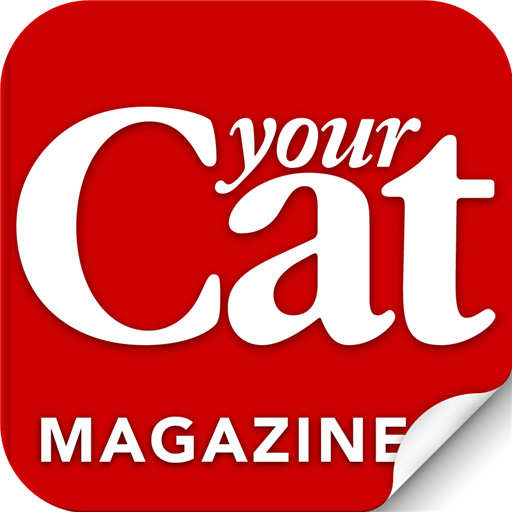 Your Cat 新聞 App LOGO-APP開箱王