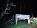 Nearnie Entrance: Myall Lakes National Park