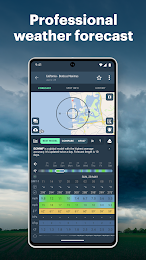 Windy.app: Windy Weather Map 2