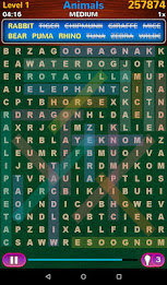 Word Search poster 16