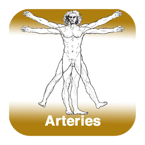 Anatomy - Arteries logo