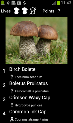 【免費書籍App】Myco pro - Mushroom Guide-APP點子