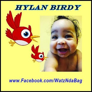 Free Hylan Birdy APK