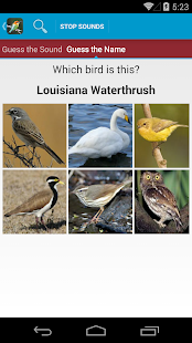World Birds Sounds Complete(圖8)-速報App