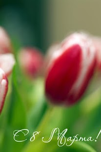 Download 8 Марта. Поздравления 2015 APK