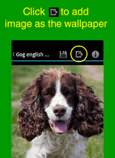 How to mod Puppies Wallpapers 1.0.1 unlimited apk for android