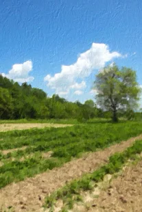 PhotoArtista - Oil - screenshot thumbnail