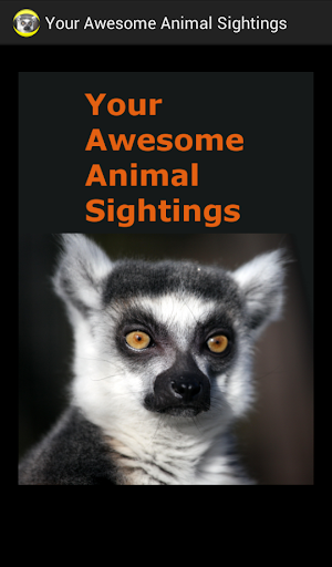 Your Awesome Animal Sightings