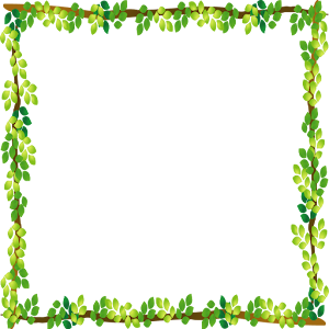 Digital photo frame.apk 2.1