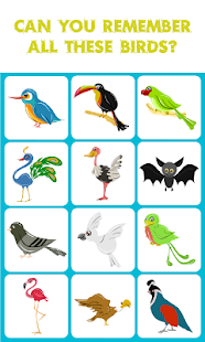How to download Bird Match Memory Game patch 1.0 apk for android