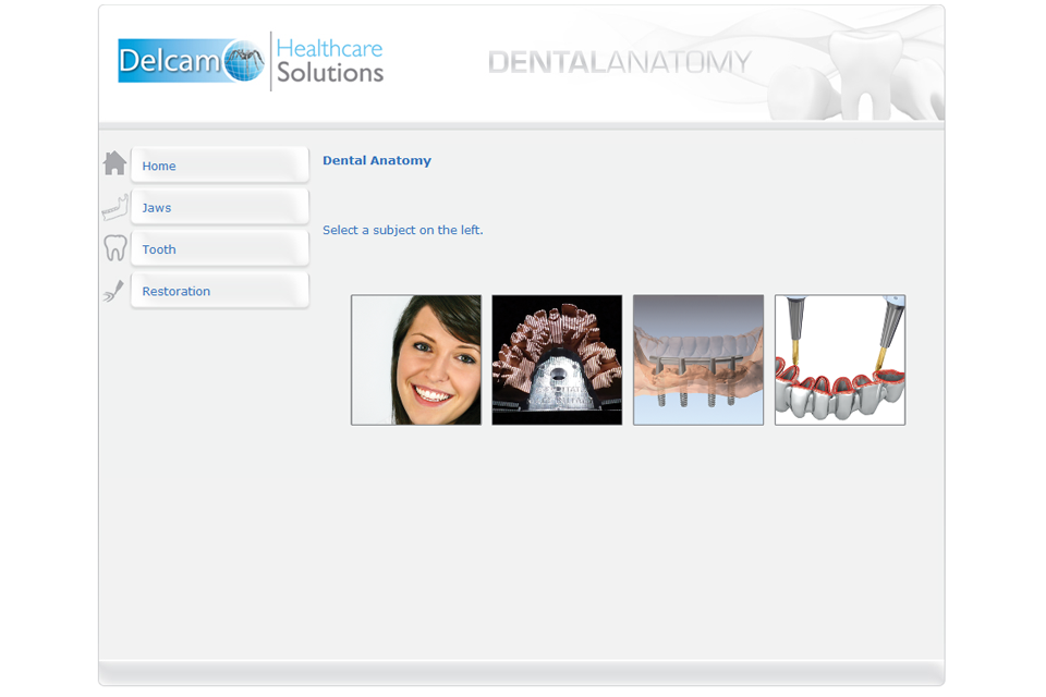    Dental Anatomy- screenshot  