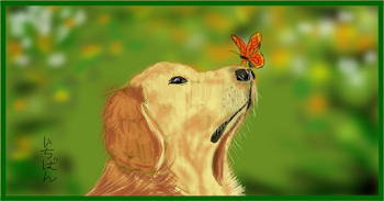 Dog and Butterfly