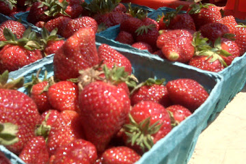 macerated strawberries