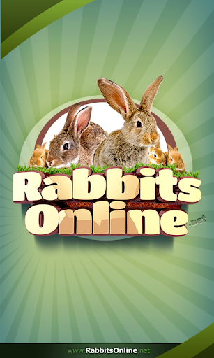 Rabbit Forum