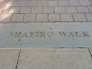 Shapiro Walk