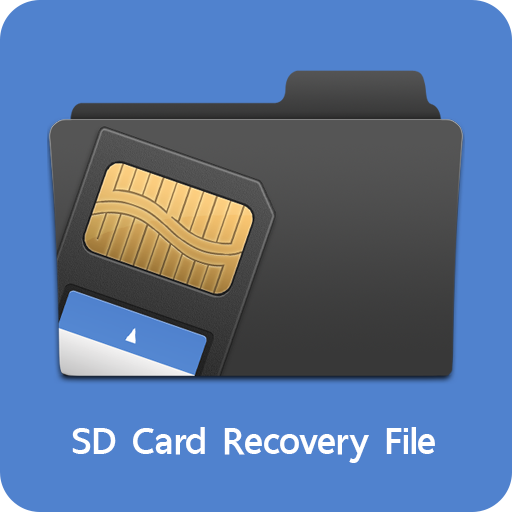 SD Card Recovery File