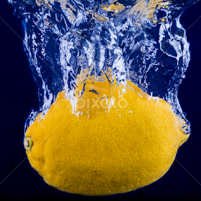 Lemon drop by David Kreutzer - Food & Drink Fruits & Vegetables