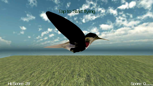 Jumpy Bird 3D