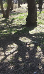 SH3D写真集 Vol.2 poster 1