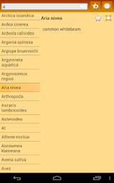 English Multiple Languages poster 12