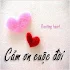 Status Hay1.10