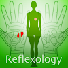 Hand Chart  / for Reflexology